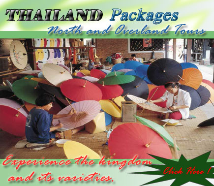 ร่มสันกำแพงเชียงใหม่ สีสันสดใสเชียว