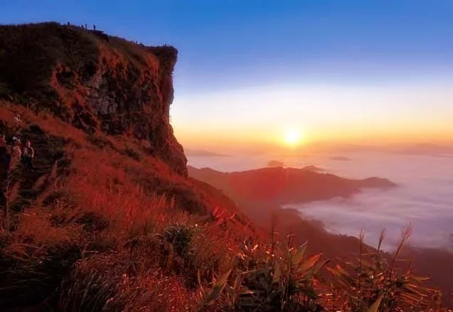 Phu Chi Fa Sea of Mist Sunrise