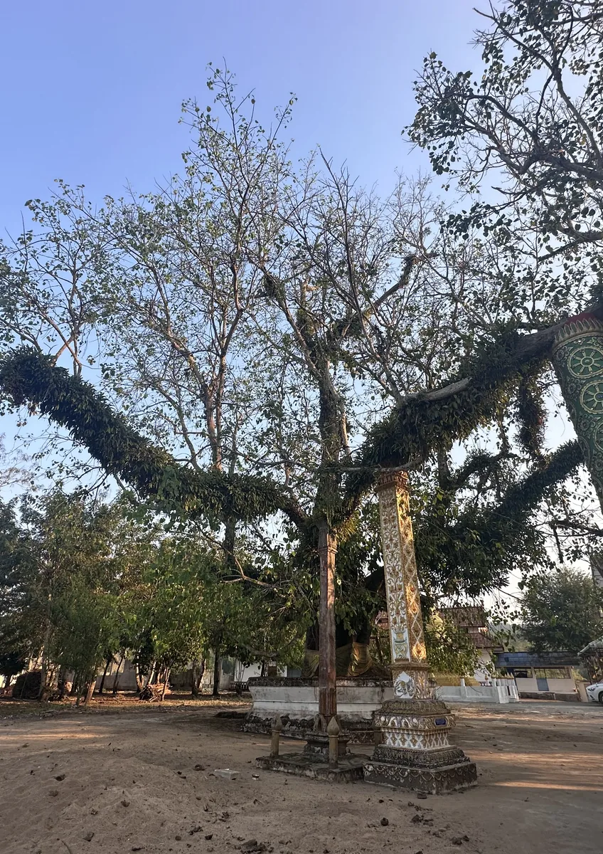 Chiang Tung & Mong Yong 3D2N